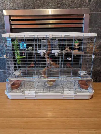 Large bird cage used like new Vision bird cage model L01 Size is H23 x L31 x W17 Fully furnished com...