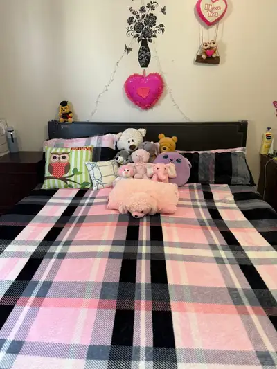 Room for Rent Available A clean and comfortable room available near Sheridan College and Shoppers Wo...