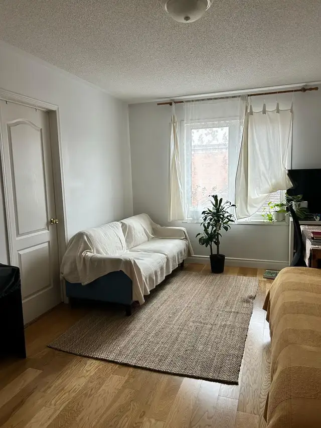 Master Bedroom for Rent – York University Village in Room Rentals & Roommates in City of Toronto - Image 3