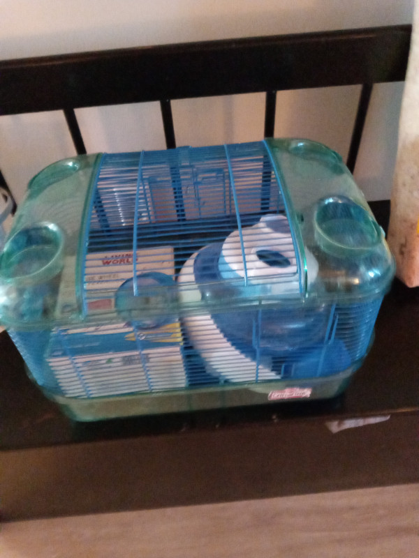 HAMSTER CAGES in Accessories in City of Halifax - Image 3