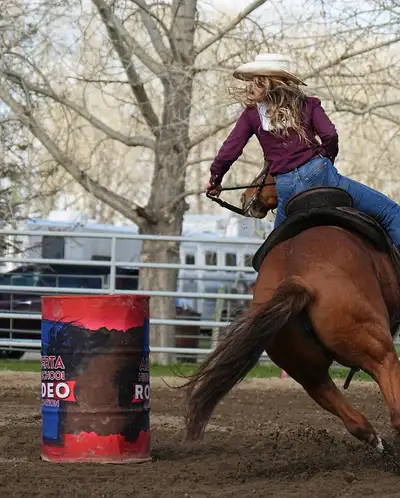 2018 AQHA mare- barrels and/ or breeding, View more