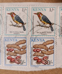 Kenya stamps - used 
Barbet/Groundnut 