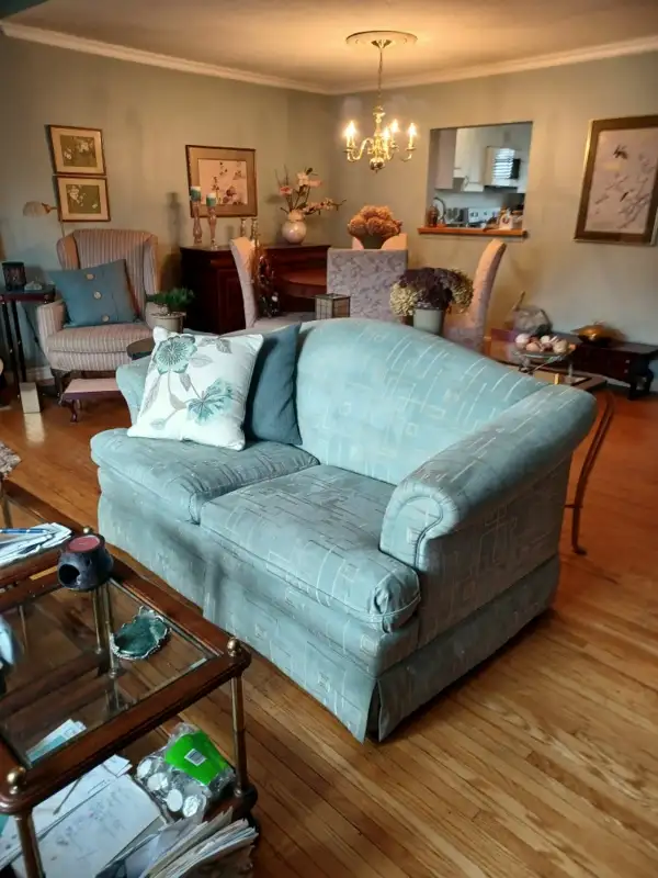 Professional Painter For Hire Ottawa Area542978699167027202