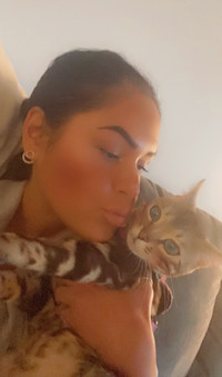 URGENT!! NEED A LOAN FOR MYSELF AND MY BENGAL!!
