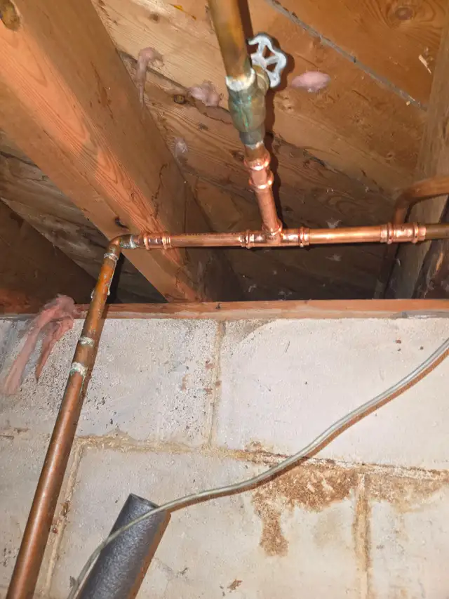 Plumbing & Gas Services599597909332480005