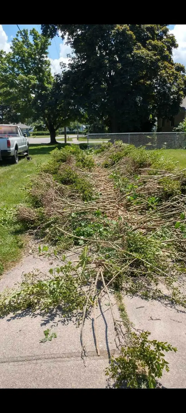 wood chipper for rent in Outdoor Tools & Storage in St. Catharines - Image 5