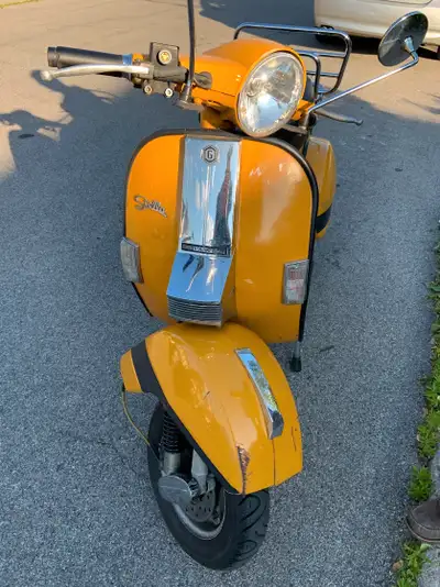 This is a classic and needs to be ridden. She's not being ridden enough and needs a new home and som...