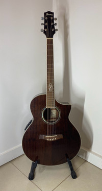 Ibanez Acoustic/Electric Guitar 