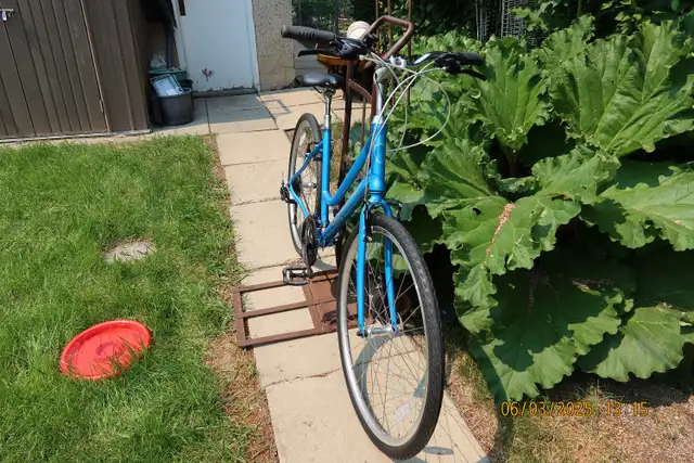 Ladies Norco Bike in Road in Edmonton - Image 7