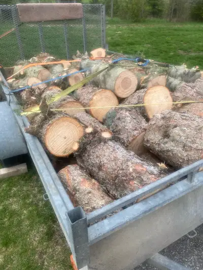 Free fire wood, View more