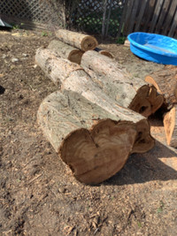 Cedar for firewood or milling - $300 for wood in all the photos