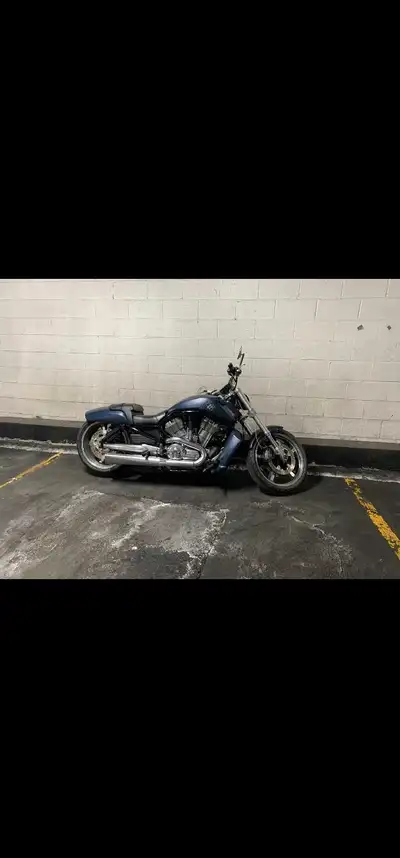 2009 Vrod muscle, Arnott Air Ride installed. Vance and Hines Competition Slip ons, Power Commander....