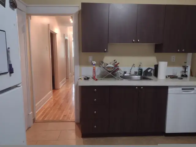 Two 5.5s (one 3-bed, one 2-bed) in the S-Ouest (Jolicoeur metro) in Long Term Rentals in City of Montréal - Image 7