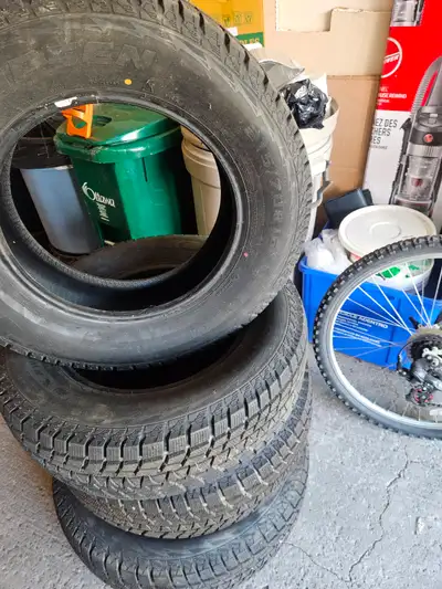 Paksen icemax winter tires. 215/70R16 Brought them new, only used them for a month. It like new. Pai...
