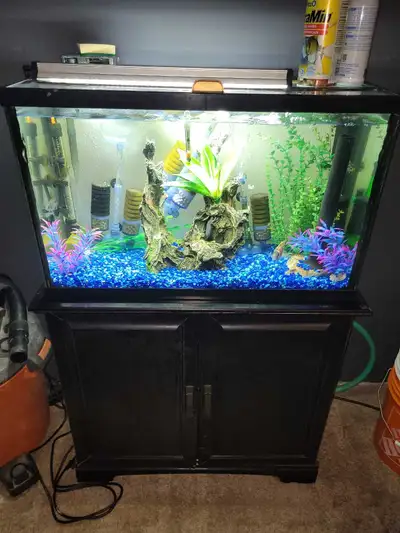 complete 30 gallon aquarium , View more