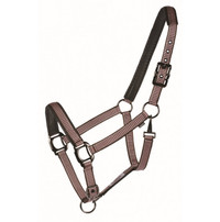 Very pretty, comfortable X Large halter - fit hunter-jumper type
