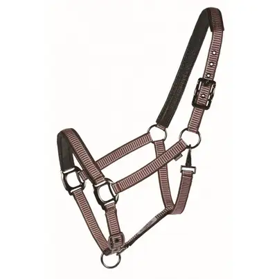 Very pretty, comfortable halters, fit reg horse & X-large horse, View more