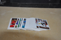 2014 -2015 PANINI hockey NHL Stickers +-  114 stickers stars roo