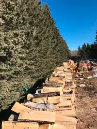 Dry split poplar or Spruce/Pine firewood for sale.