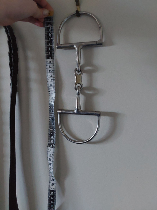 Full Bridle, reins and bit in Equestrian & Livestock Accessories in Trenton - Image 2