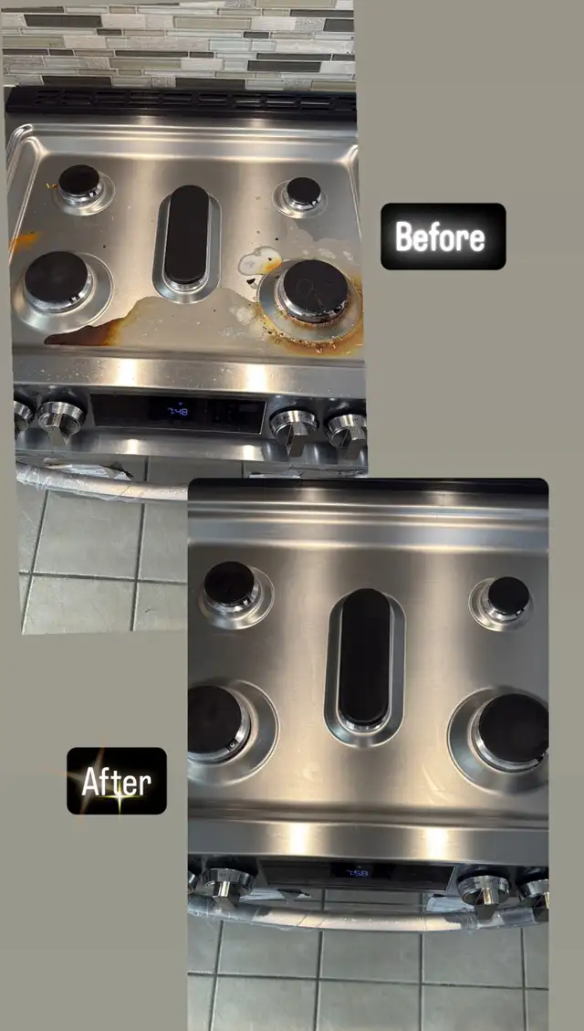 Professional cleaning65203779588610120