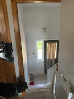 House for rent