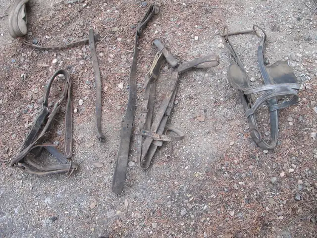 Vintage Sets Of Horse Harness in Arts & Collectibles in Regina - Image 3