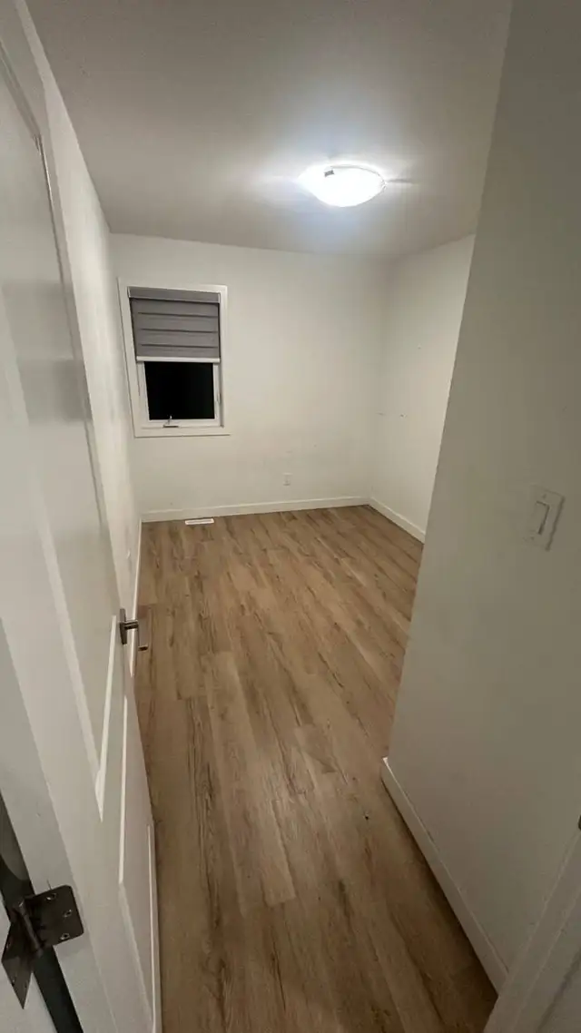 Cleaning551126007871580169