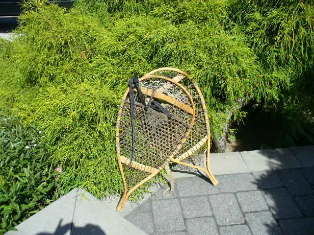 Raquettes a neige vintage en bois in Tennis & Racquet in Laval / North Shore - Image 5