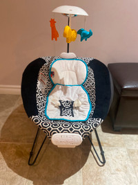 Jonathan Adler Fisher price delux bouncer chair for babies