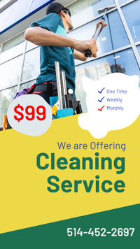Professional Window Cleaning Services - Sparkling Clean Windows 