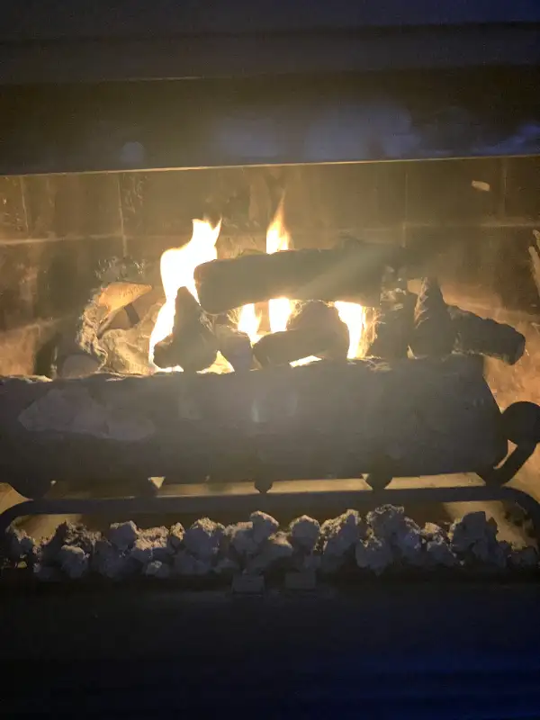 Insert Set for Fireplace Gel Fuel Concrete Fire Log in Fireplace & Firewood in City of Montréal - Image 5
