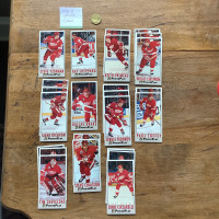 Detroit Red Wings Cards 