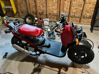 Slightly modded. Cheap to insure Only need class 5 8000km Mods included: - lowered seat frame - exha...