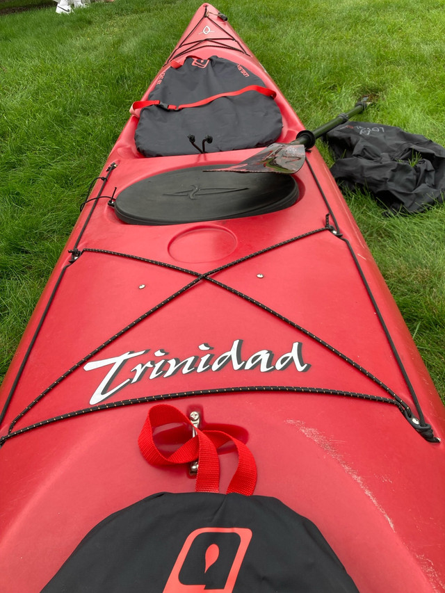 Kayak de mer double Dagger Trinidad dans Canots, kayaks et rameurs  à Baie-Comeau - Image 2