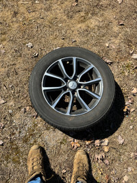 Tires on alloy rims 