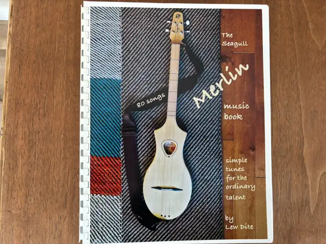 Seagull Merlin in Guitars in Laurentides - Image 8