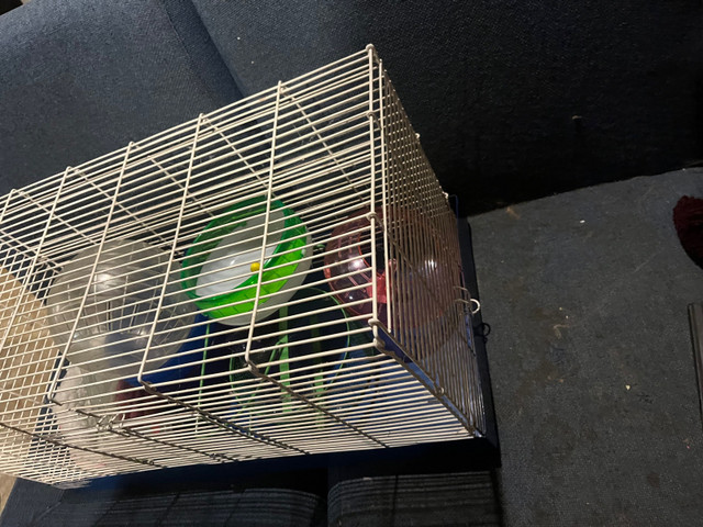 Hamster cage and other items  in Accessories in Kitchener / Waterloo - Image 2