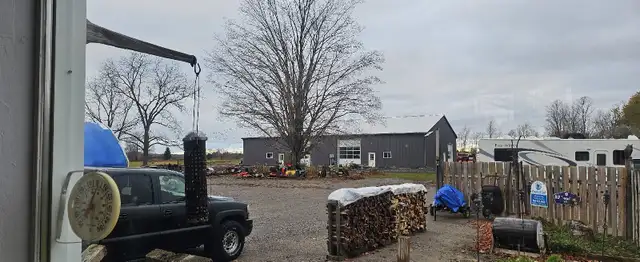 Premium cut firewood  seasoned in Free Stuff in Kawartha Lakes - Image 2