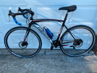 Silver Trek Road Bike for sale!!Frame : 19 inchTire Size: 26