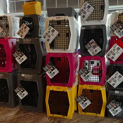 Ruff Land Kennels, View more