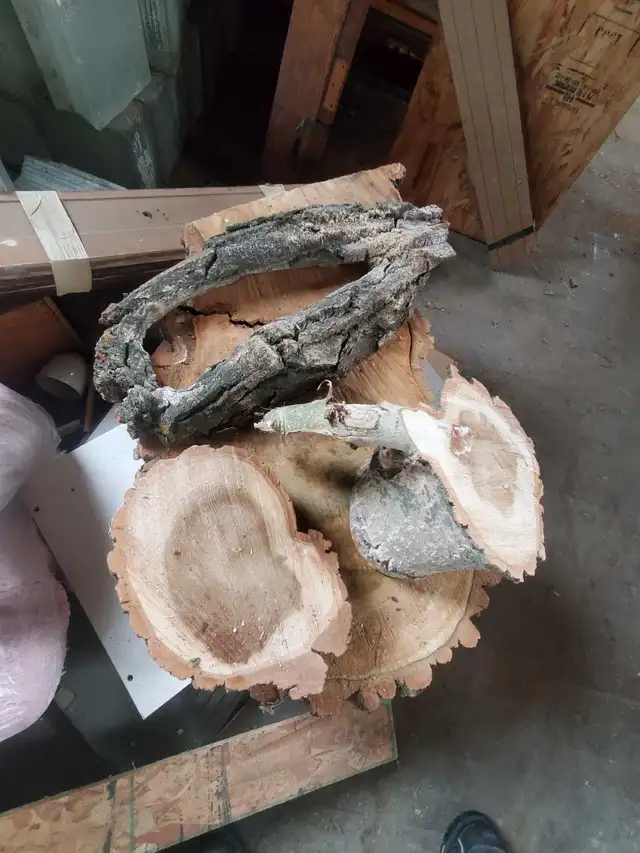 Raw Wood Slabs, Cookies, & Craft Pieces! in Other in Regina - Image 2