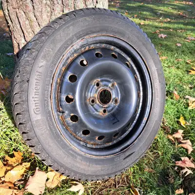 Set of 4 Continental 205/55 R16 Snow tires on Rims. Used 2 seasons. Replacement cost new is $1700. T...