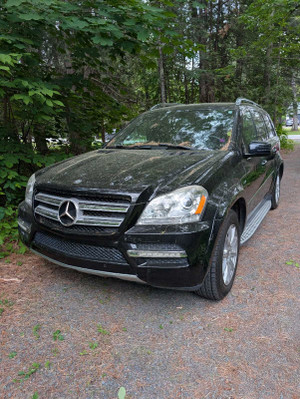 2012 Mercedes-Benz GL 350 bluetec