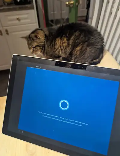 Microsoft Surface Pro 7, View more