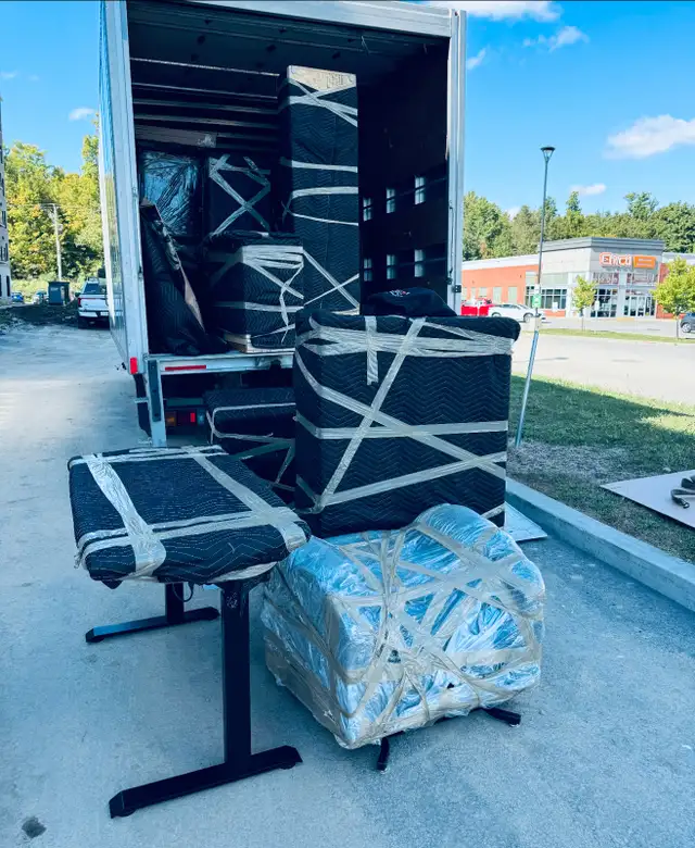 Transport David Pro64556775807618120