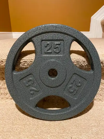 WEIGHT PLATE 1 INCH HOLE 25LB BRAND NEW, View more
