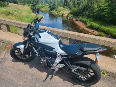 Selling Mt 2015 FZ-07 Aftermarket adjustable leavers Tidy tail Comes with Windshield Fresh oi & filt...