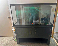 60gal fish tank with stand