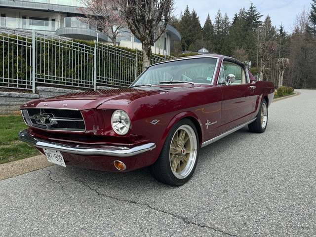 1965 Mustang Fastback Fully Restored in Classic Cars in Downtown-West End - Image 2
